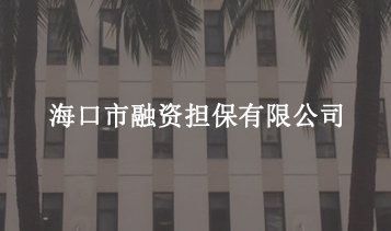 ?？谑腥谫Y擔(dān)保有限公司